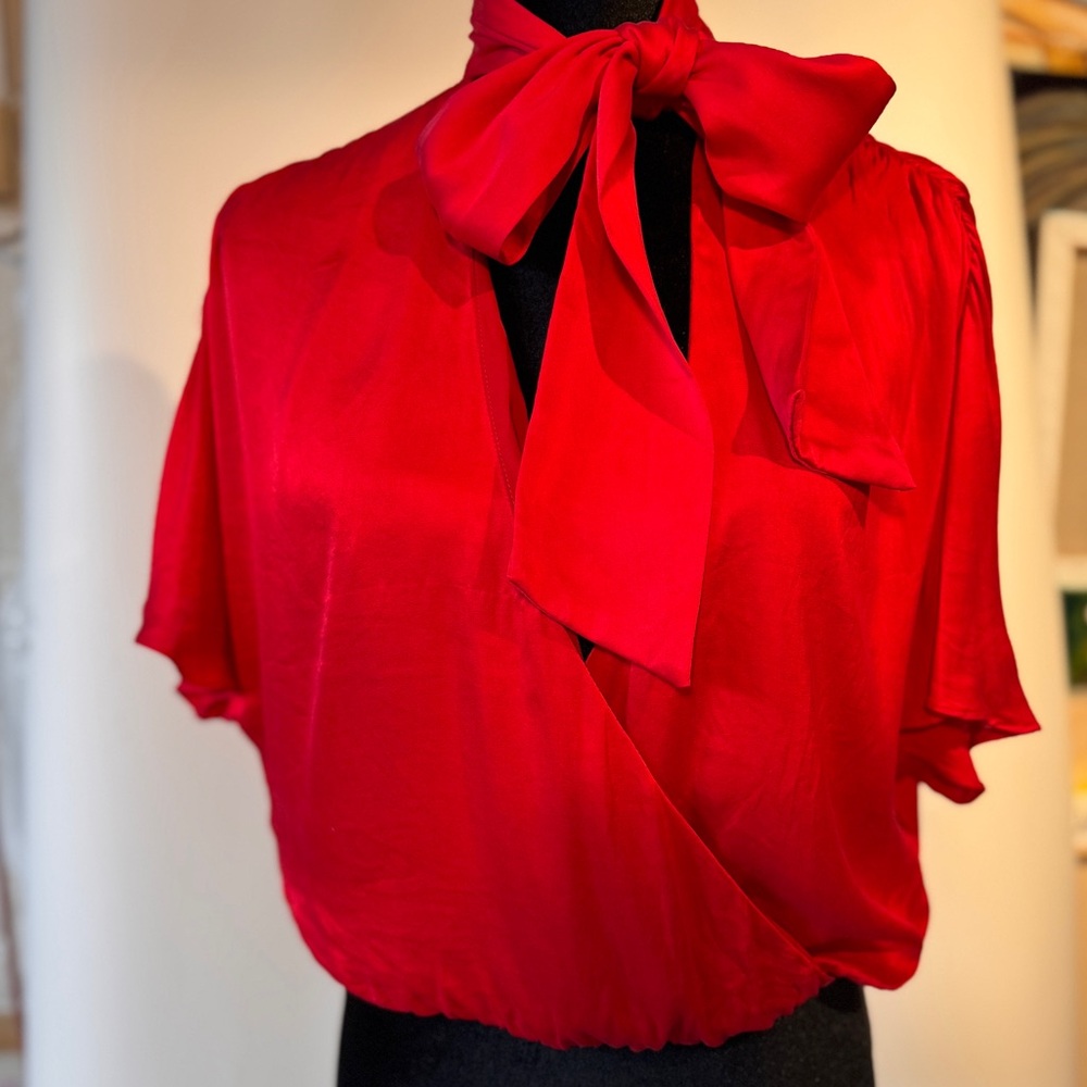 Gorgeous silk Alice + Olivia Blouse SZ M with tie neck scarf.